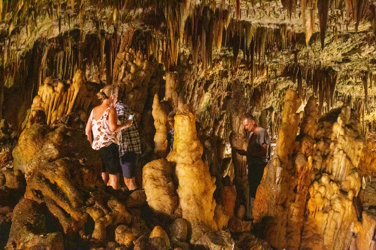 Céphalonie : Visite guidée, grottes et vin - Tout comprisLes points forts de Céphalonie