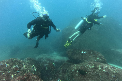 Mirissa: Scuba Diving Experience & Refreshments for Beginner