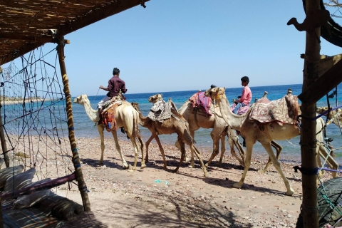 Au départ de Sharm : Dahab, excursion en jeep, canyon, chameau, quad et plongée en apnée
