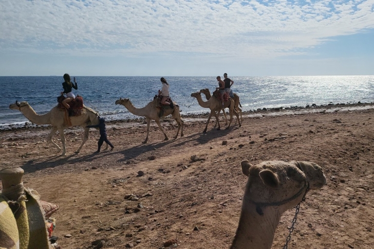 Sharm El Sheikh: Excursión de un día al Cañón de los Colores, el Agujero Azul y DahabSharm El Sheikh: Safari en jeep Cañón Rojo y Agujero Azul y Dahab