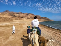 Sharm El Sheikh, Colored Canyon, Blue Hole & Dahab Day Trip - Housity