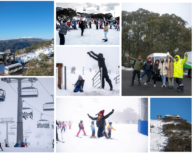 From Melbourne Mount Buller Guided Day Tour GetYourGuide