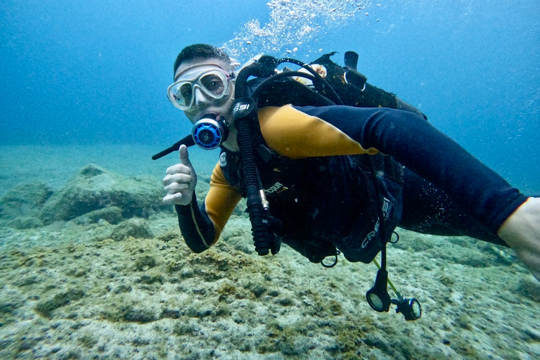 Tenerife: Mergulho para iniciantes em um local com avistamento de tartarugasTenerife: mergulho para iniciantes em um local com avistamentos de tartarugas