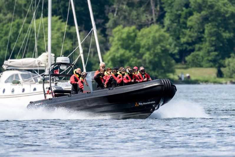 Stockholm : Tour en bateau rapide (RIB) de l'archipel