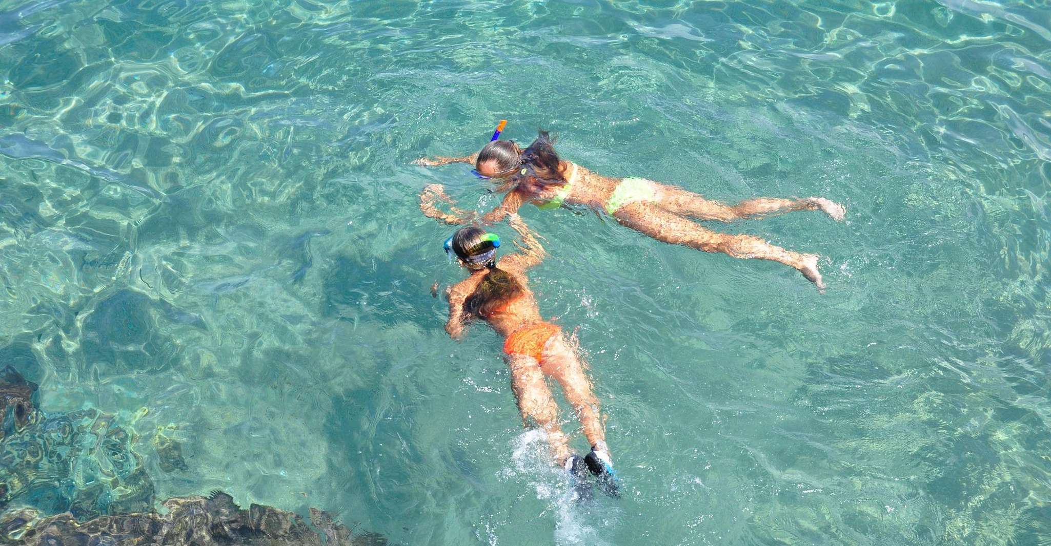 Islamorada, Snorkel Adventure & Sandbar Trip - Hizvo