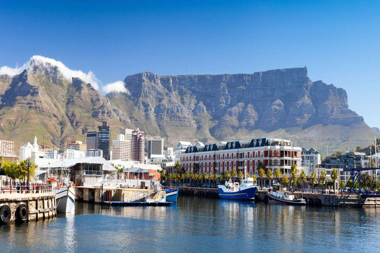 Città del Capo: Capo di Buona Speranza Pinguino Table Mountain Tutto InclusoCittà del Capo: Tour del Capo di Buona Speranza, dei Pinguini e della Table Mountain