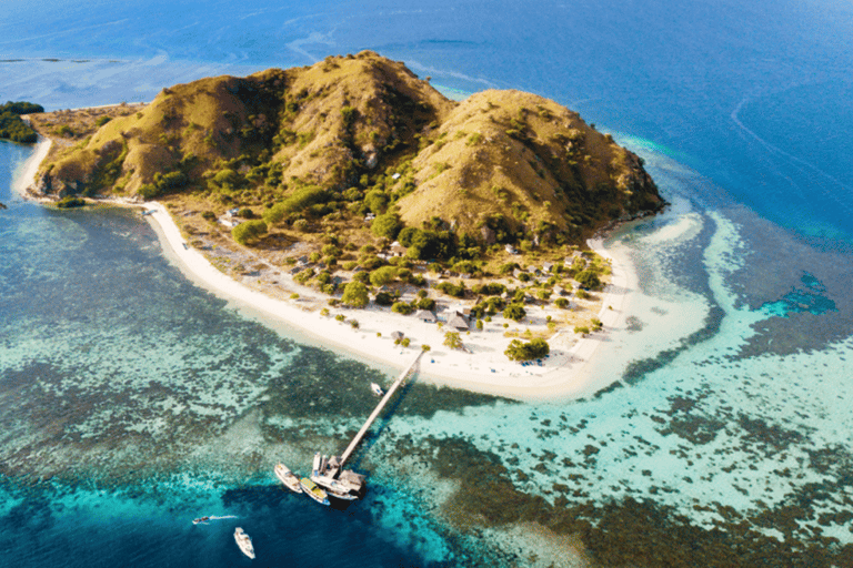 Excursão de um dia a Komodo em barco rápido