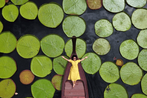 Phuket: Private &amp; All-Inclusive Giant Water Lilies Tour