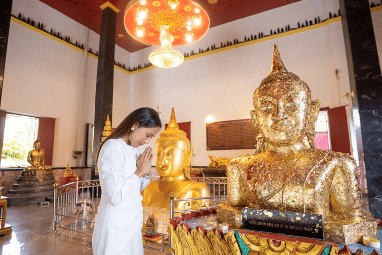 Phuket: Tour privato e all-inclusive delle ninfee giganti