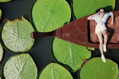 Phuket: Private & All-Inclusive Giant Water Lilies Tour