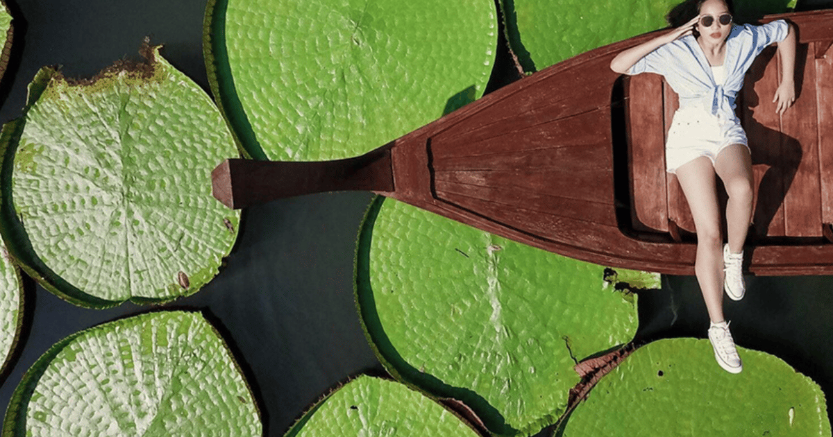 Phuket: Private & All-Inclusive Giant Water Lilies Tour - 2026