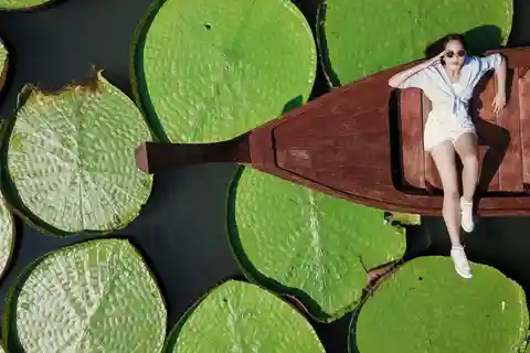 Phuket: Private & All-Inclusive Giant Water Lilies Tour