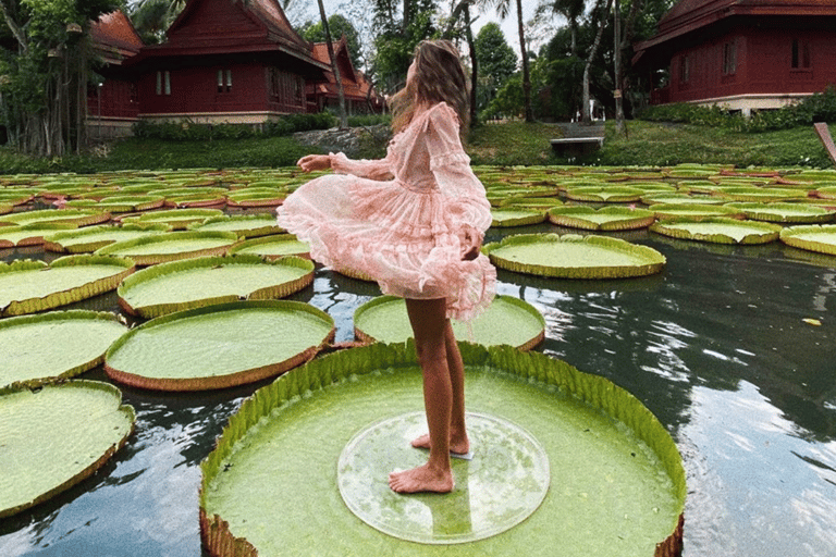 Phuket: Excursão particular e com tudo incluído aos nenúfares gigantes