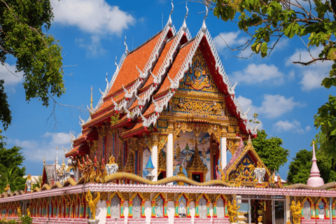 Circuit des nénuphars géants de Phuket (privé et tout compris)