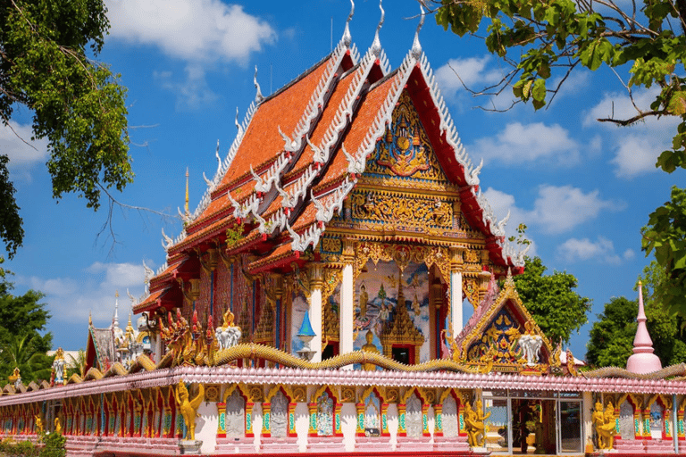 Phuket: Excursão particular e com tudo incluído aos nenúfares gigantes