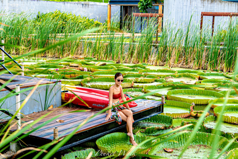 Phuket Giant Water Lilies Tour (privé en all-inclusive)