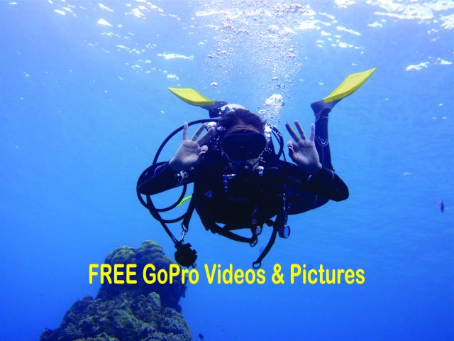 Visit Panama City Beach Beginners Scuba Diving Tour in Coronado