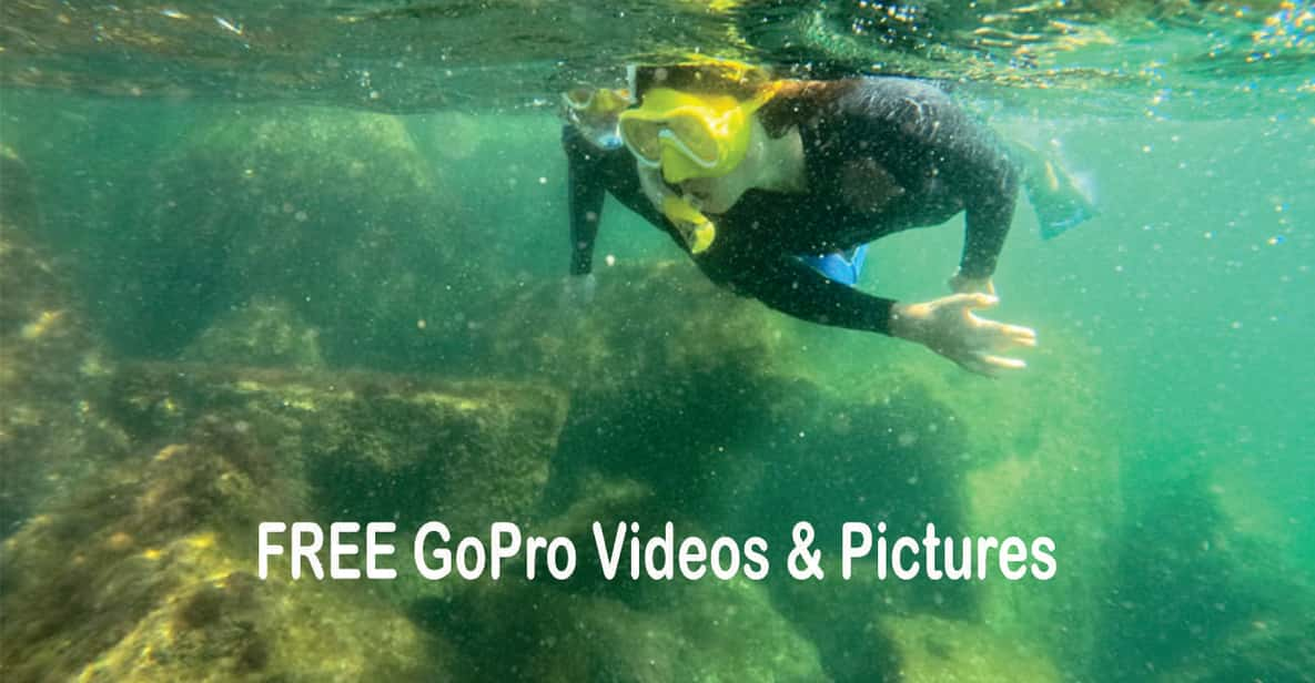 Lower Grand Lagoon: Panama City Beach Guided Snorkeling Tour | GetYourGuide