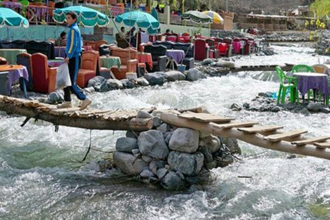 Excursion d'une journée dans la vallée de l'ourika à partir de marrakech avec un groupe