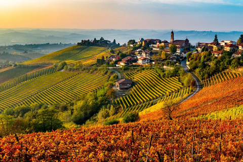 Piedmont: From Milan – Full Day Wine Tour in a Luxury Car