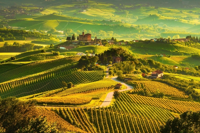 Piedmont: From Milan – Full Day Wine Tour in a Luxury Car
