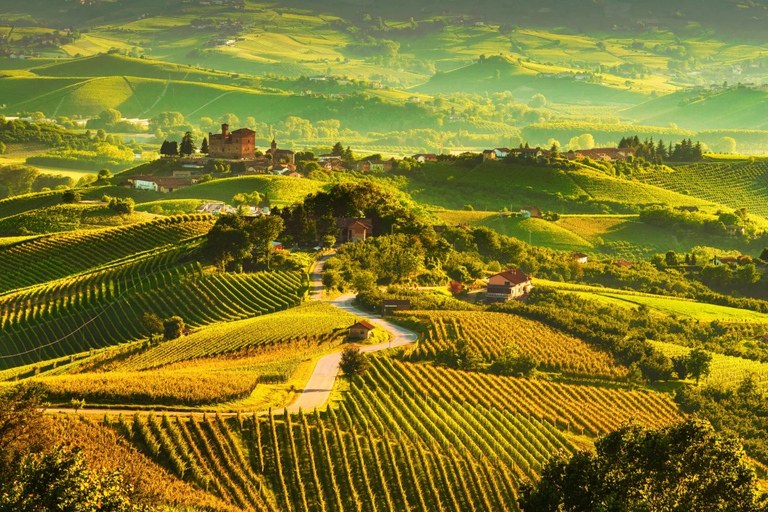 Piedmont: From Milan – Full Day Wine Tour in a Luxury Car