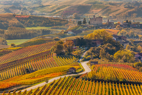 Från Milano: Barolo privat vintur med en privat förarePiemonte: Från Milano - heldags vinresa i lyxbil