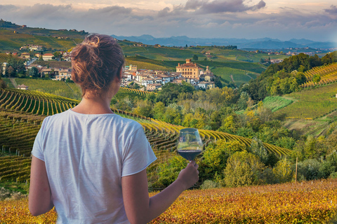 From Milan: Barolo Private Wine Tour with a Private DriverPiedmont: From Milan – Full Day Wine Tour in a Luxury Car