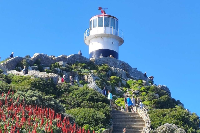 Città del Capo: Capo di Buona Speranza Pinguino Table Mountain Tutto InclusoCittà del Capo: Tour del Capo di Buona Speranza, dei Pinguini e della Table Mountain