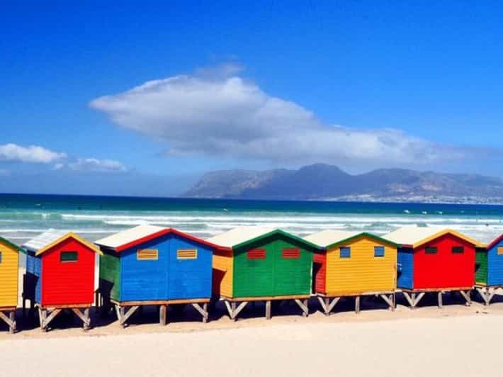 Private Tour: Table Mountain Cape Point Penguin Seal Island | GetYourGuide