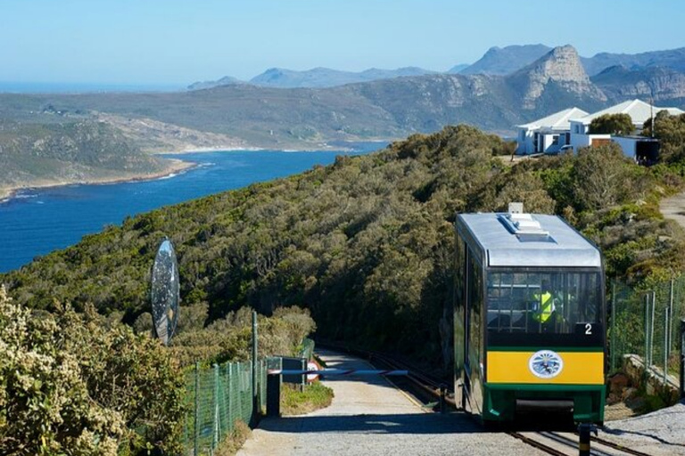 Città del Capo: Capo di Buona Speranza Pinguino Table Mountain Tutto InclusoCittà del Capo: Tour del Capo di Buona Speranza, dei Pinguini e della Table Mountain