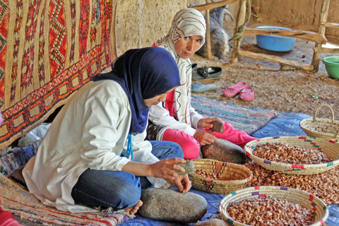 Från Agadir: Tafraoute i Anti Atlas Dagsutflykt med lunch