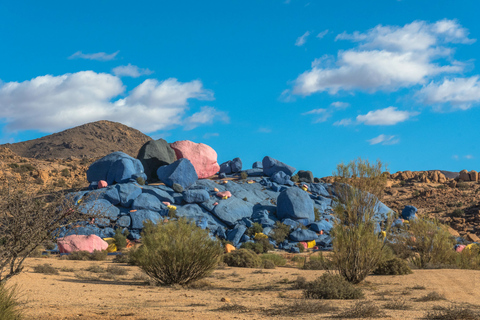 Från Agadir: Tafraoute i Anti Atlas Dagsutflykt med lunch