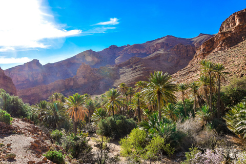 Desde Agadir: Tafraoute el Anti Atlas Excursión de un día con almuerzo