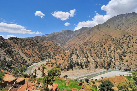 Desde Agadir: Tafraoute el Anti Atlas Excursión de un día con almuerzo