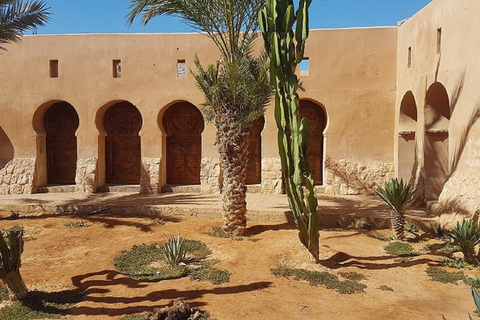 Desde Agadir: Tafraoute el Anti Atlas Excursión de un día con almuerzo