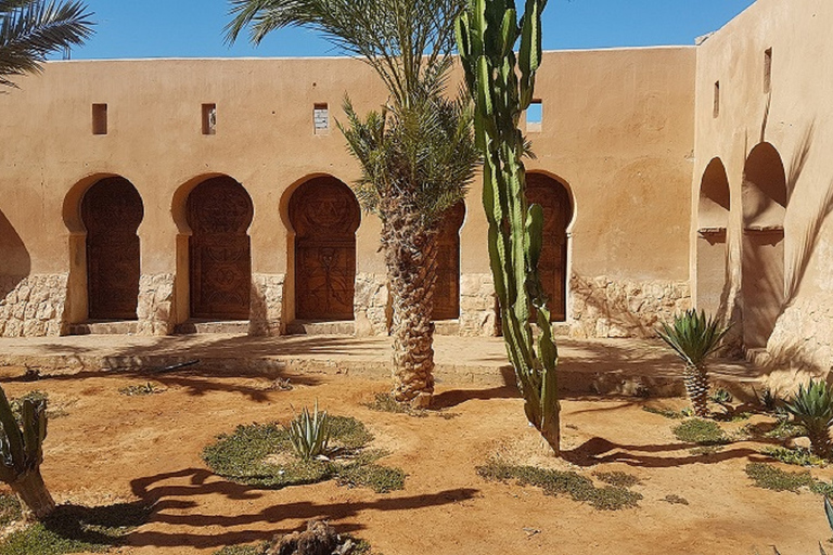 Desde Agadir: Tafraoute el Anti Atlas Excursión de un día con almuerzo