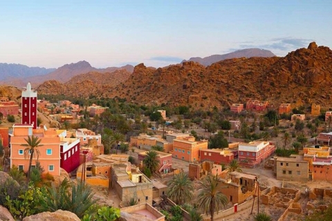 Von Agadir aus: Tafraoute der Anti-Atlas Tagesausflug mit Mittagessen