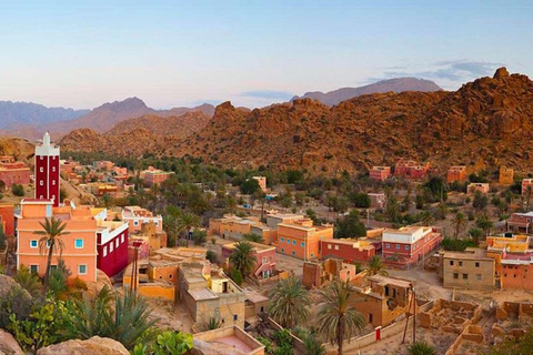 Från Agadir: Tafraoute i Anti Atlas Dagsutflykt med lunch