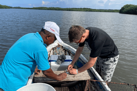 Pêche au filet, pêche au crabe, observation des oiseaux Expérience locale + déjeunerPêche au crabe, pêche au filet, observation des oiseaux Expérience locale + déjeuner