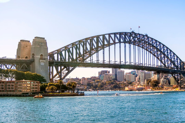 Sydney: City and Bondi Beach Private Luxury Half-Day Tour