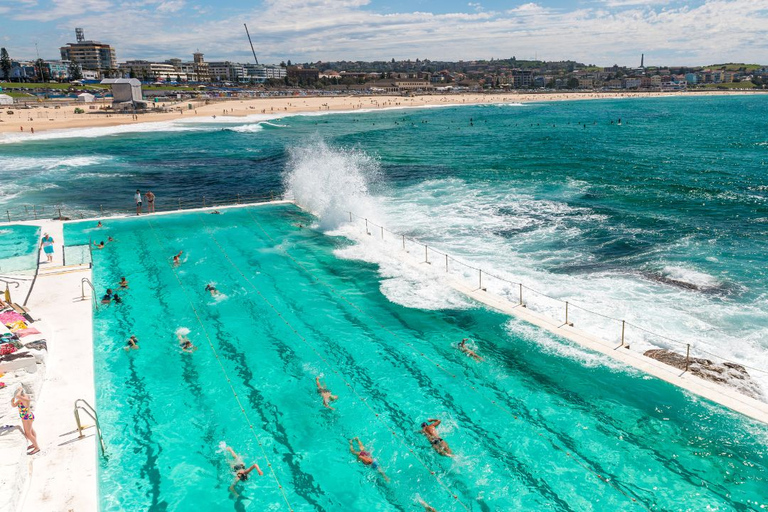 Sydney: City and Bondi Beach Private Luxury Half-Day Tour