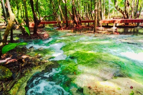 Ko Lanta: Emerald Pool and Hot Springs Day Trip