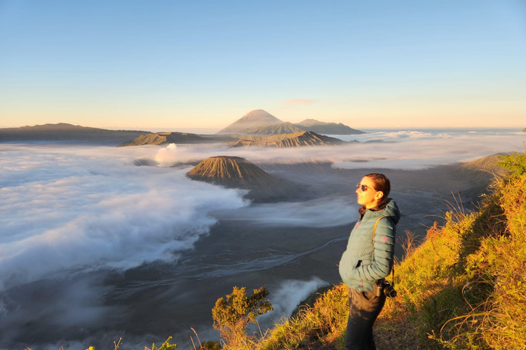 Yogyakarta: tour di 3 giorni a Bromo e Ijen con hotel e biglietti d&#039;ingressoYogyakarta: Bromo, Ijen: escursione di 3 giorni con hotel e biglietti d&#039;ingresso