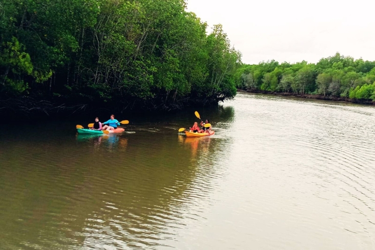 Ko Lanta: excursion d'une demi-journée en kayak dans la mangrove