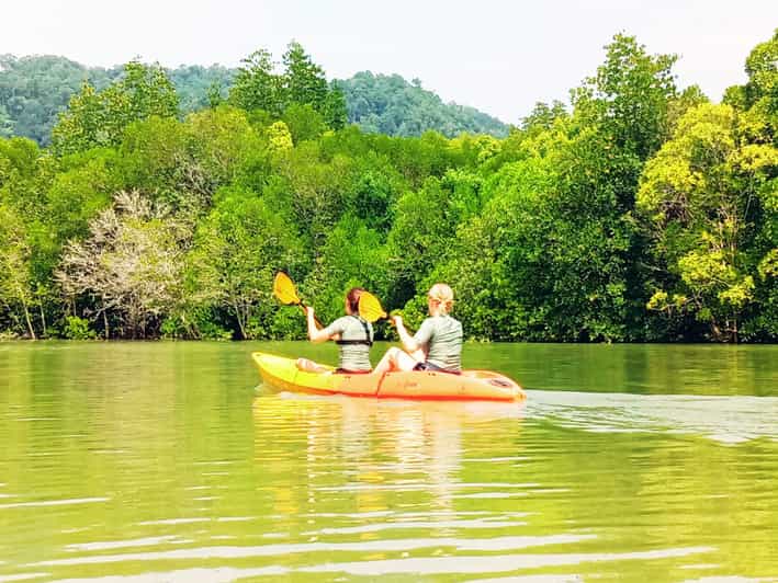 Ko Lanta Mangrove Kayaking HalfDay Tour GetYourGuide