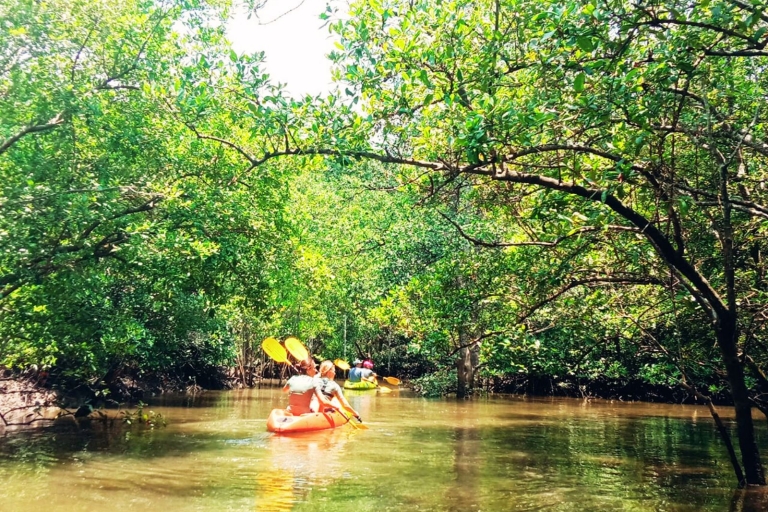 Ko Lanta: Mangrove Kayaking Half-Day Tour