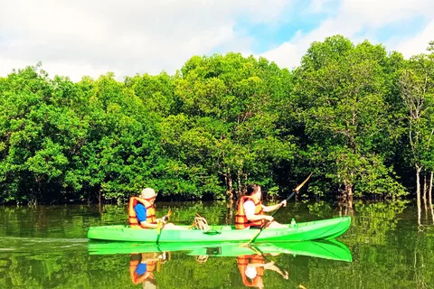 Ko Lanta: Half-Day Mangrove Kayaking With Lunch