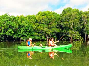 Ko Lanta: Kayak por los Manglares con Comida y Traslado al Hotel