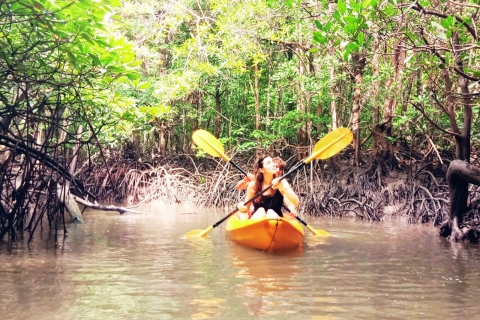 Ko Lanta: tour de medio día en kayak por los manglares